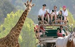 تور آفریقای جنوبی 