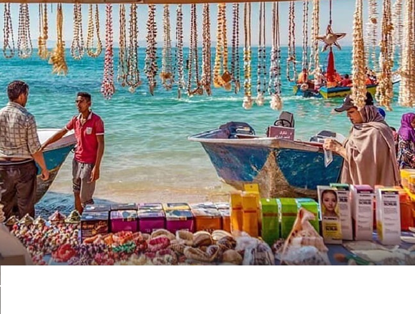 db.tour-related.title